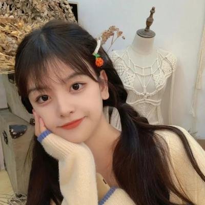 海贼王女 海报